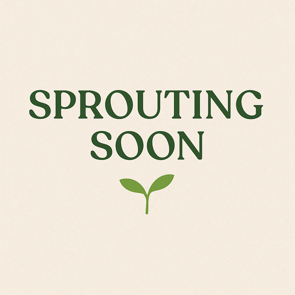 PRE-ORDER RŪTS Grow Jar – Basil Edition 🌱