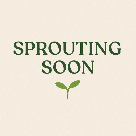 PRE-ORDER RŪTS Grow Jar –  Basil Edition 🌱