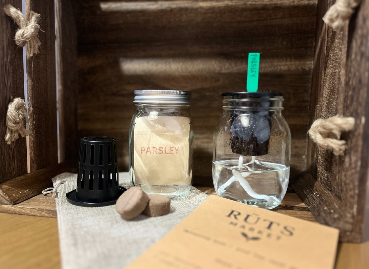 Grow fresh herbs right on your windowsill — no guessing, perfect for beginners.