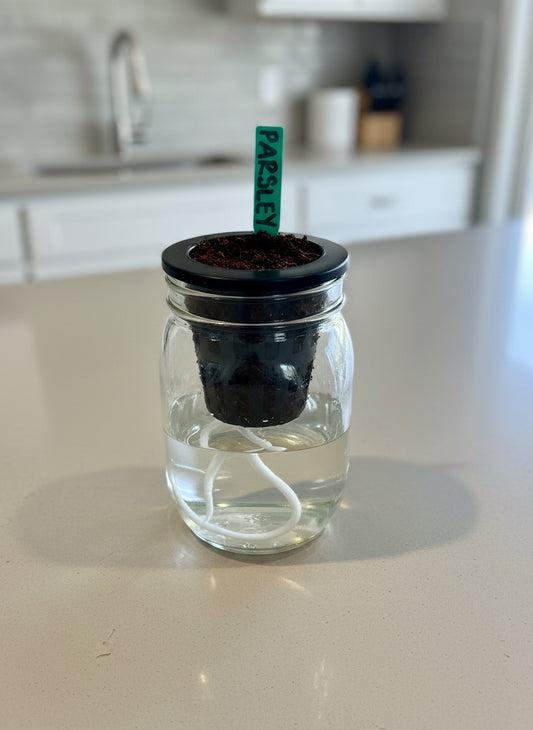 Grow fresh herbs right on your windowsill — no guessing, perfect for beginners.